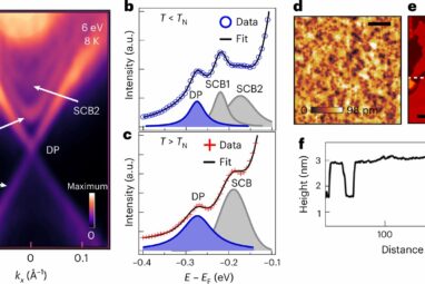 Illuminating an asymmetric gap in a topological antiferromagnet