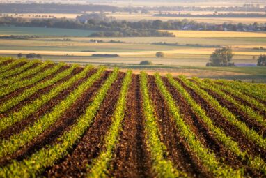 Land use and irrigation yield a change in the weather in the Corn Belt