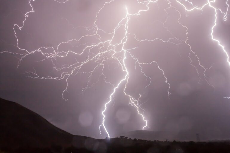 Lightning strikes make collecting a parasitic fungus prized in ...