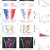 May the force not be with you: Cell migration doesn't only rely on ...