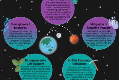 Microbial applications for sustainable space exploration beyond ...