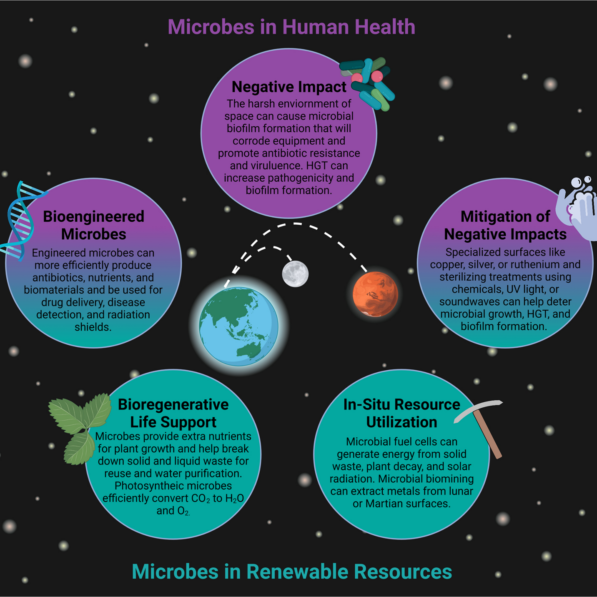 Microbial applications for sustainable space exploration beyond ...