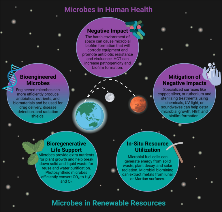 Microbial applications for sustainable space exploration beyond ...