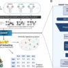 New computational model can predict antibody structures more ...