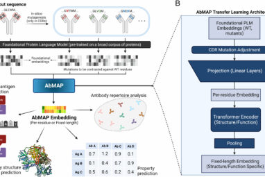 New computational model can predict antibody structures more ...