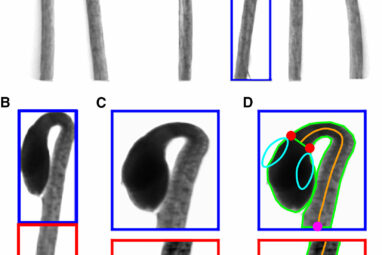 New discovery on how plants detect light and grow could result in ...