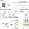 New study opens the door for waste-derived organic redox flow ...