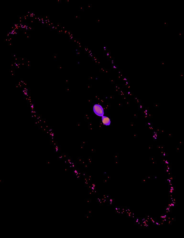 Newly discovered 'kiss and capture' mechanism explains the ...