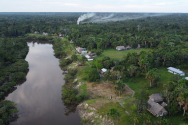 Newly discovered microbes in Amazon peatlands could affect global ...