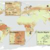 Nickel mining a serious concern for climate action, reveals study