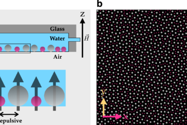 Experimental identification of topological defects in 2D colloidal ...