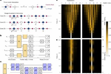 Quantum computer helps to answer questions on lattice gauge theory