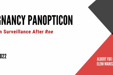 Pregnancy Panopticon — S.T.O.P. - The Surveillance Technology ...