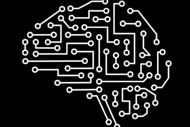 Researchers find the key to AI's learning power—an inbuilt ...