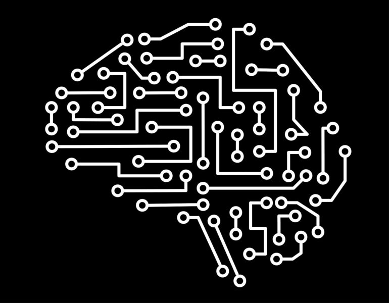 Researchers find the key to AI's learning power—an inbuilt ...