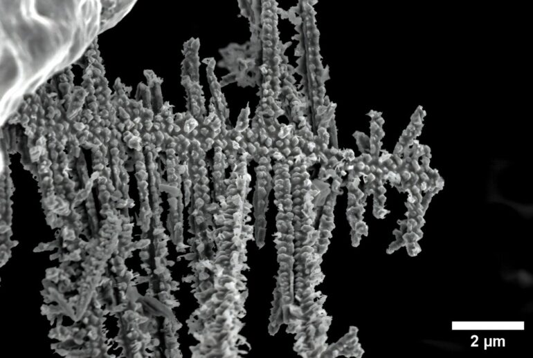 Building better batteries: Researchers untangle the tiny strands ...