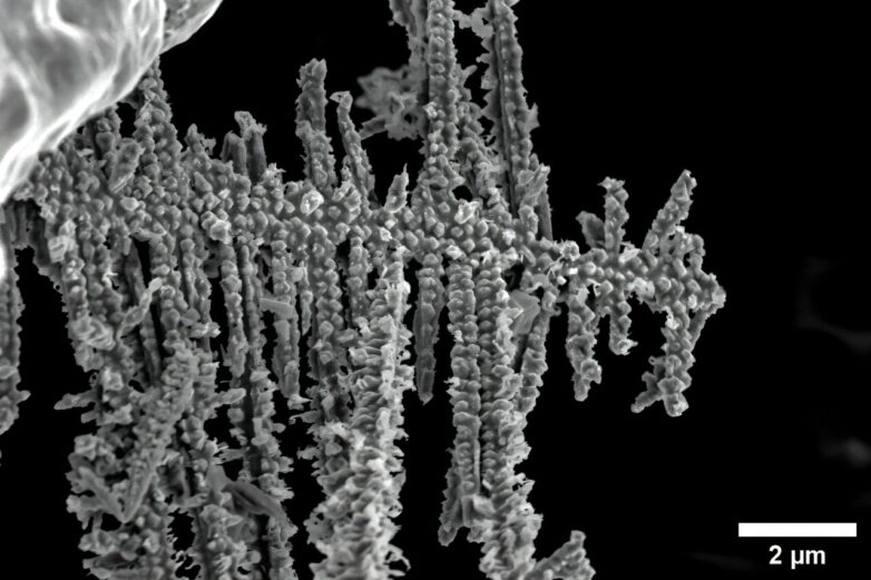 Building better batteries: Researchers untangle the tiny strands ...