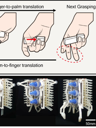 Robotic gripper mimics human hand to move multiple objects together