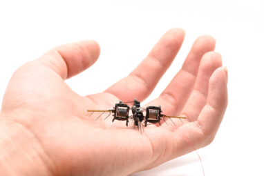 This fast and agile robotic insect could someday aid in mechanical ...