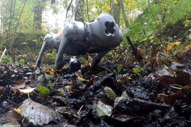 Robots can now walk through muddy and slippery terrain, thanks to ...