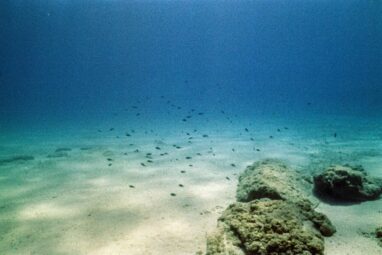 Scientists reveal overlooked ocean processes crucial for carbon ...