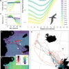 Seabirds make clever use of winds to plan foraging trips over ...