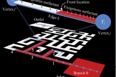 Soap's maze-solving skills could unlock secrets of the human body