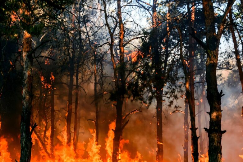 Social and economic disparities impact wildfire protection in ...