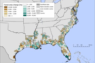 Study examines how climate change has shaped coastal forests over ...