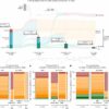 Green hydrogen: Study shows big gaps between ambition and global ...