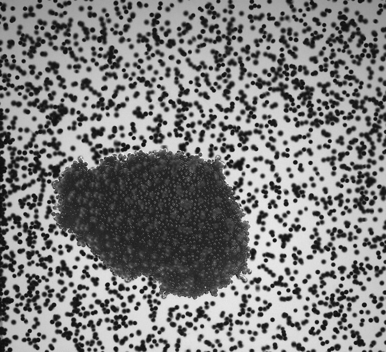 Suborbital flight experiments test dust particle agglomerates to ...