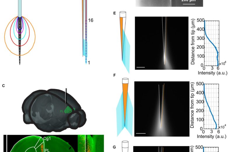 Frontiers | Tapered Fibers Combined With a Multi-Electrode Array ...