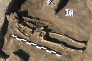 Ukraine was a migration hub until around 500 years ago, study finds