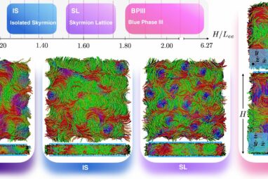 Using achiral hard banana-shaped particles to assemble skyrmions ...