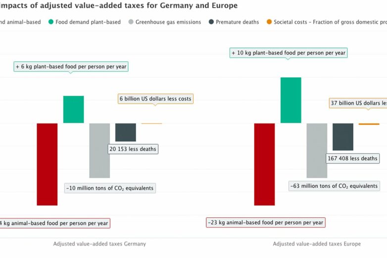 Value-added taxes could promote healthier, more sustainable diets