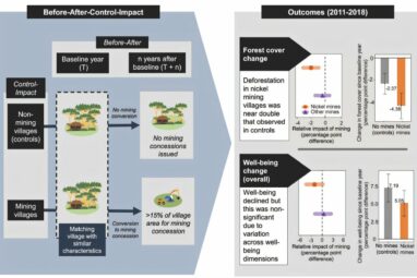 Weighing the green cost: How nickel mining in Indonesia impacts ...