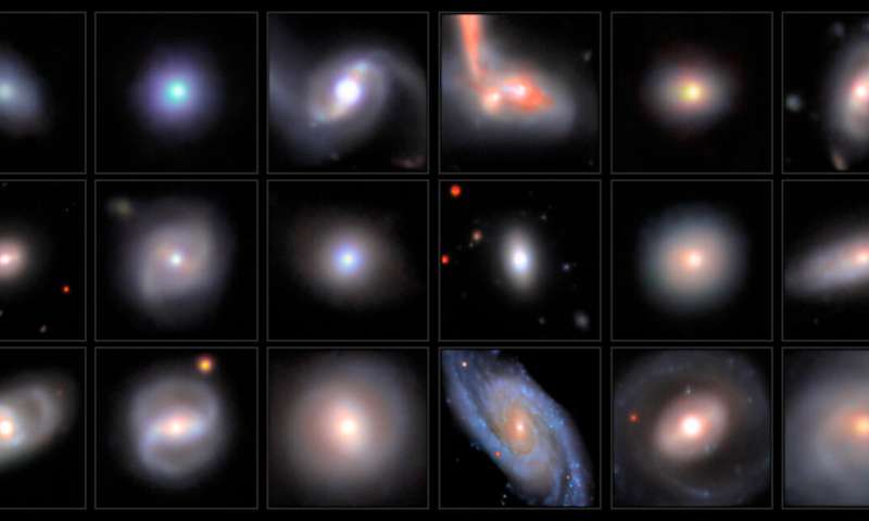 DESI uncovers 300 new intermediate-mass black holes plus 2500 new active black holes in dwarf galaxies