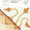 3D structure of the social amoeba genome sheds light on the ...