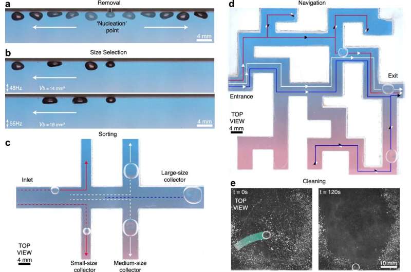 Bubbles that break the rules: The fluid discovery that defies logic