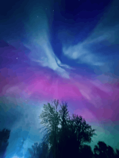 Bright colors visible across the night sky, with a tree silhouetted in the foreground.