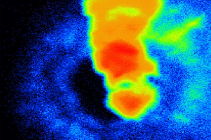 Helium in the Earth's core