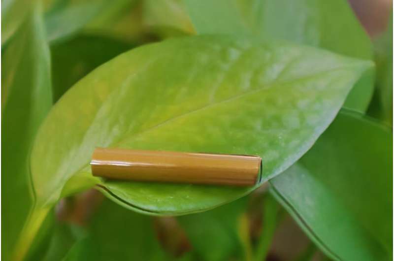 Leaf vein-inspired photothermal actuator balances speed, strength, and stability
