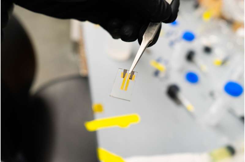 New method developed to dramatically enhance bioelectronic sensors