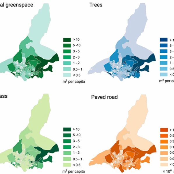 AI system accurately maps urban green spaces, exposing ...