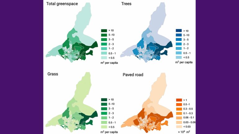 AI system accurately maps urban green spaces, exposing ...