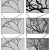 The Potential of Biophilic Fractal Designs to Promote Health and ...