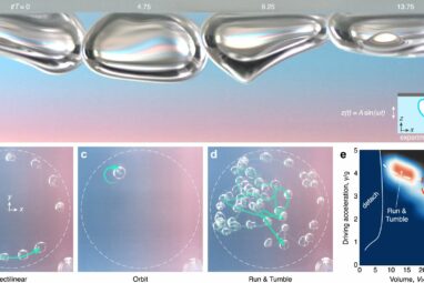Bubbles that break rules: A fluid discovery that defies logic