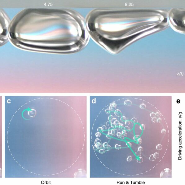 Bubbles that break rules: A fluid discovery that defies logic