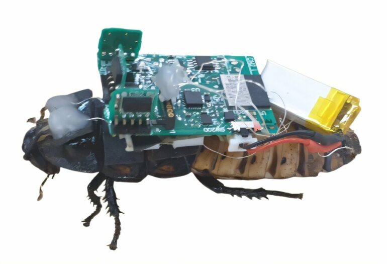 Combining millions of years of evolution with tech wizardry: The ...