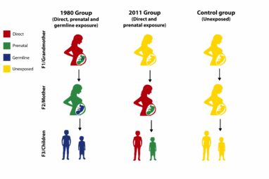 Epigenetic echoes: Violence can leave genetic marks on future ...